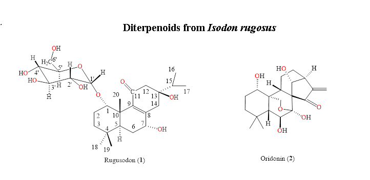 Isodon Rugosus Ribulose A New Diterpene: Abietane Glycoside from the Roots of Isodon rugosus ...