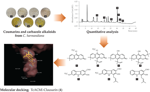 Quantitative Analysis and In Silico Molecular Docking Screening for ...