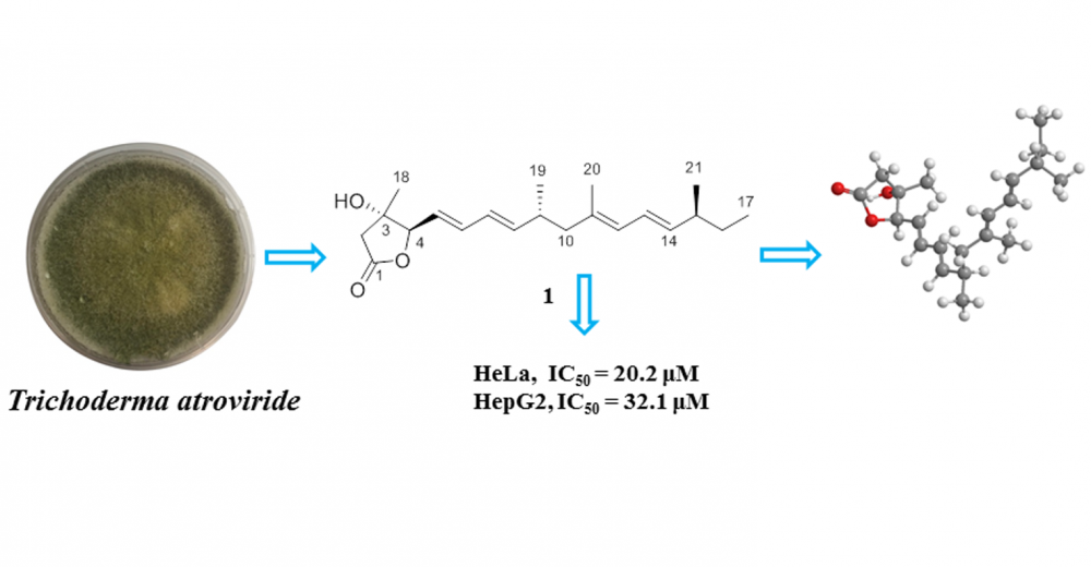 Trichonafurin A: a New γ-Lactone Compound from the Marine-Derived ...