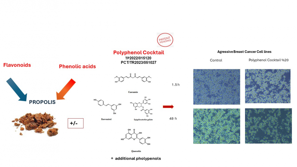 The Role of Polyphenols in Cancer Prevention and Treatment | ACG ...