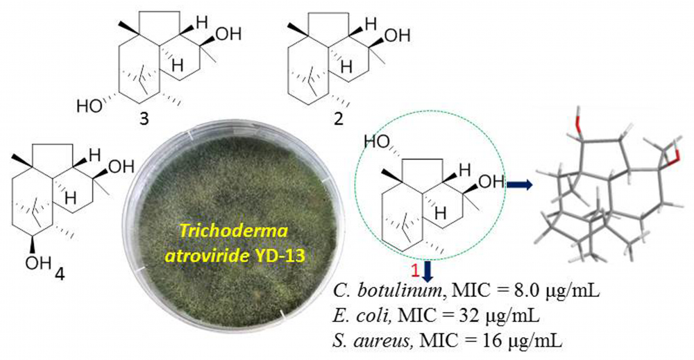A New Antibacterial Diterpene with a Fused 6-5-6-6 Ring System ...